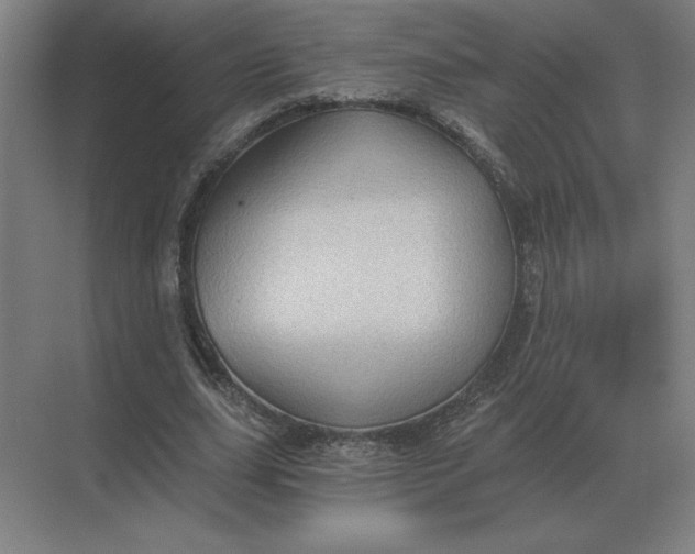 X0000068830631200605191900