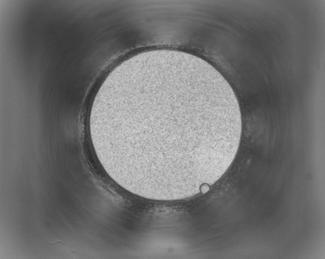 X0000068830632200605191900