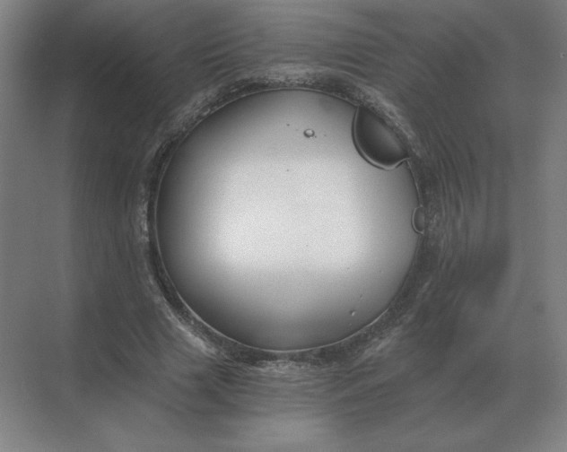 X0000068830633200605191900