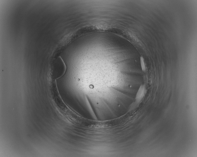 X0000068830639200605191900