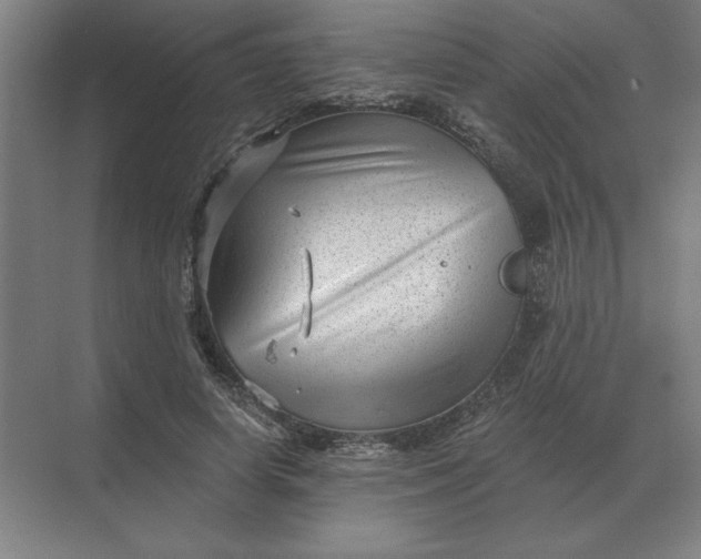 X0000068830642200605191900