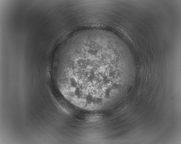 X0000068830643200605191900