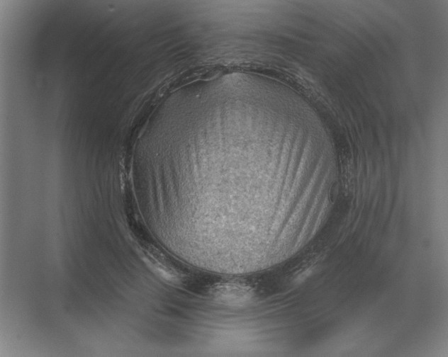 X0000068830644200605191900