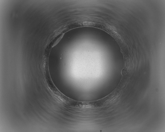 X0000068830645200605191900