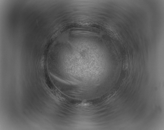 X0000068830647200605191900