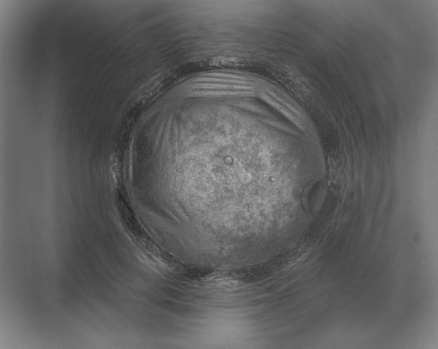 X0000068830648200605191900