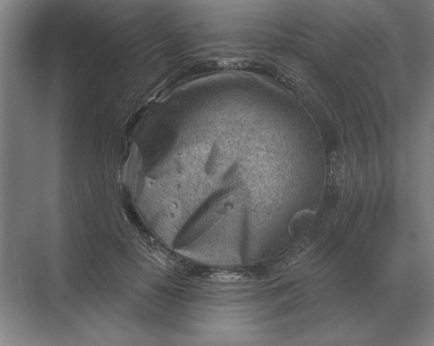 X0000068830650200605191900