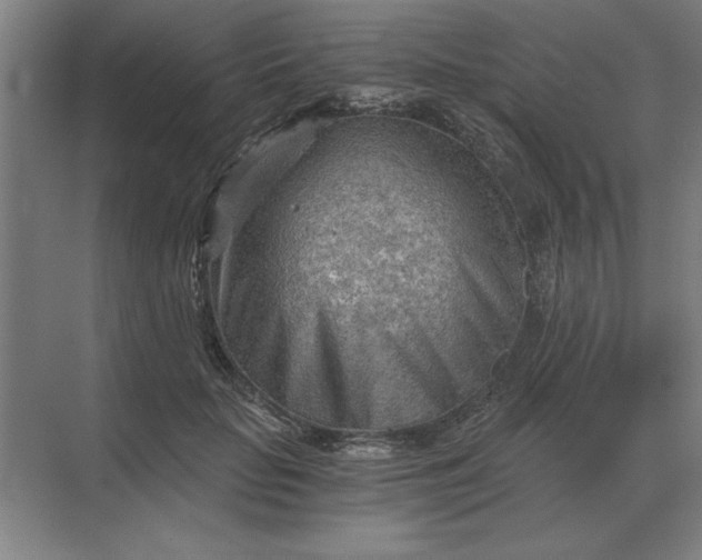 X0000068830653200605191900