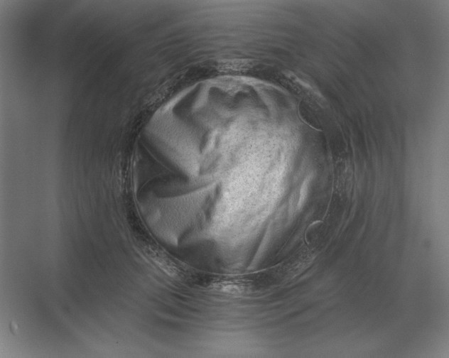 X0000068830655200605191900