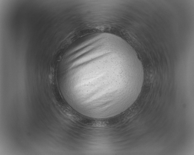 X0000068830656200605191900