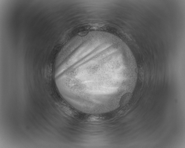 X0000068830657200605191900