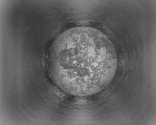 X0000068830658200605191900