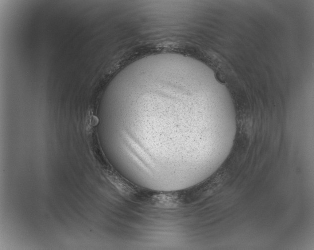 X0000068830660200605191900