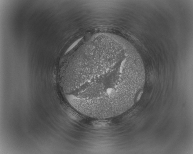 X0000068830661200605191900