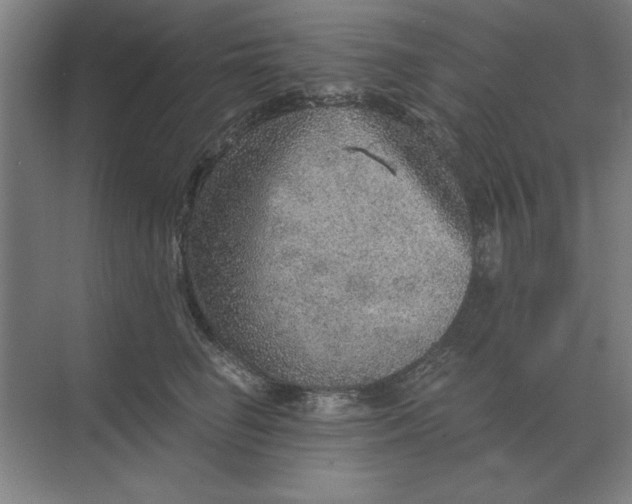 X0000068830662200605191900