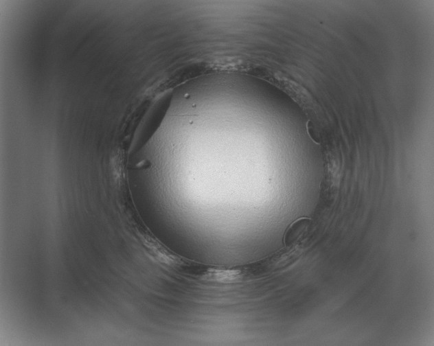 X0000068830665200605191900