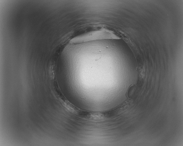 X0000068830666200605191900