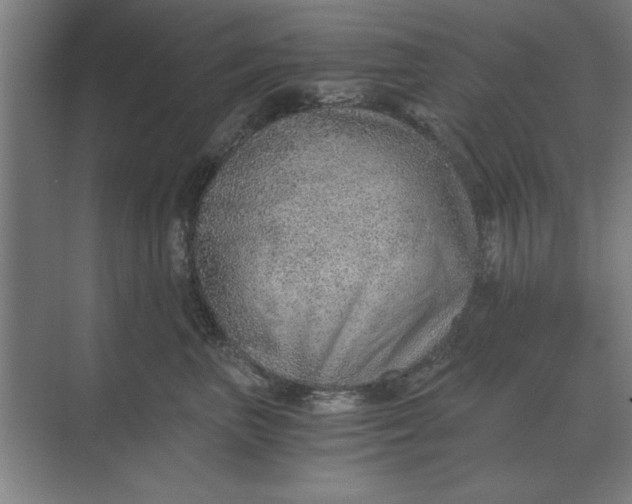 X0000068830667200605191900