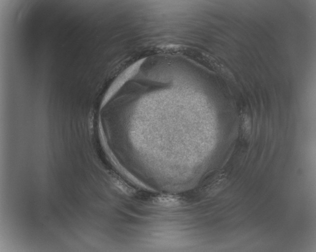 X0000068830668200605191900