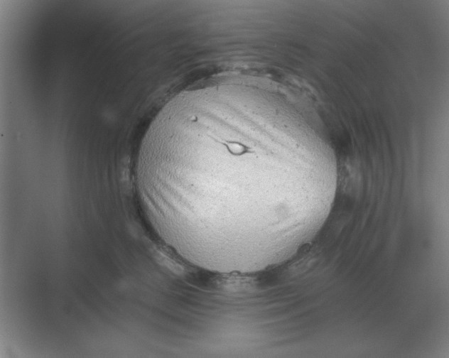 X0000068830670200605191900