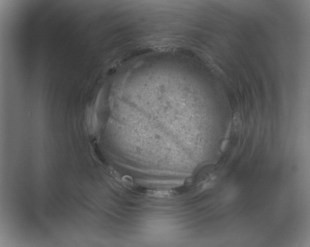 X0000068830671200605191900