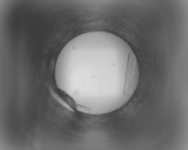 X0000068830672200605191900