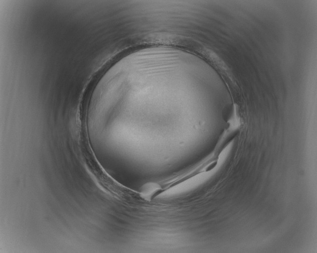 X0000068830674200605191859