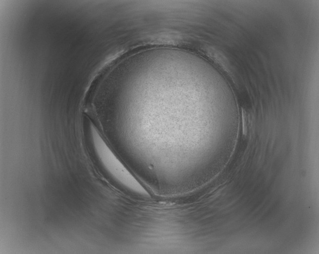 X0000068830675200605191859