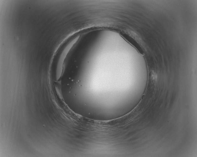 X0000068830676200605191859