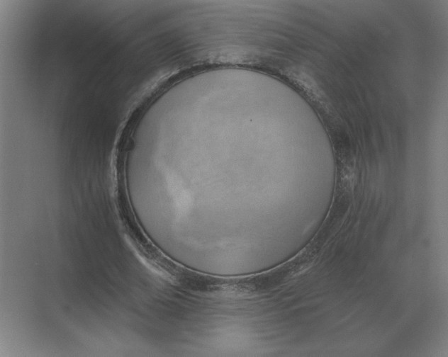 X0000068830678200605191859