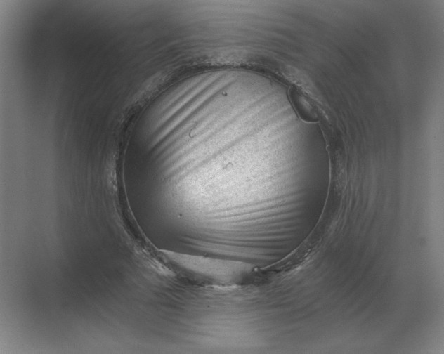 X0000068830681200605191859