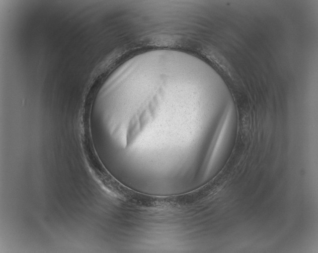 X0000068830682200605191859