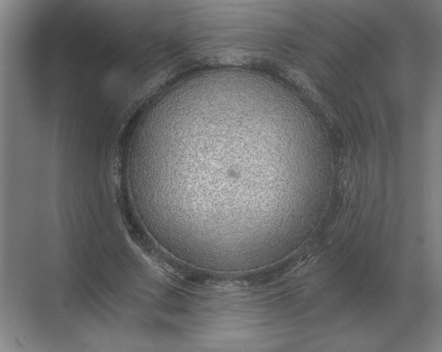 X0000068830683200605191859