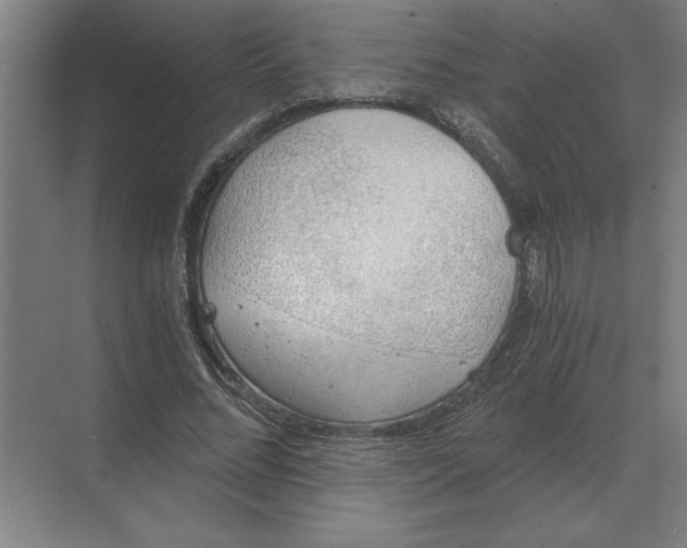 X0000068830684200605191859