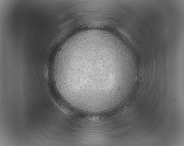 X0000068830687200605191859