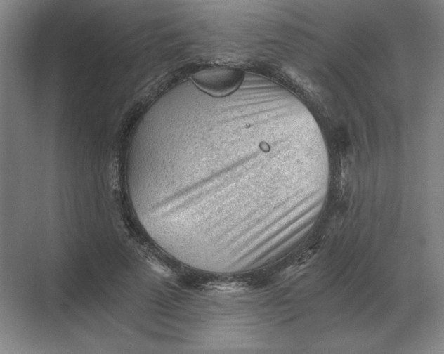 X0000068830689200605191859