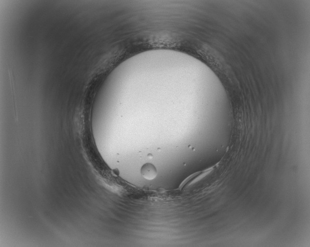 X0000068830690200605191859