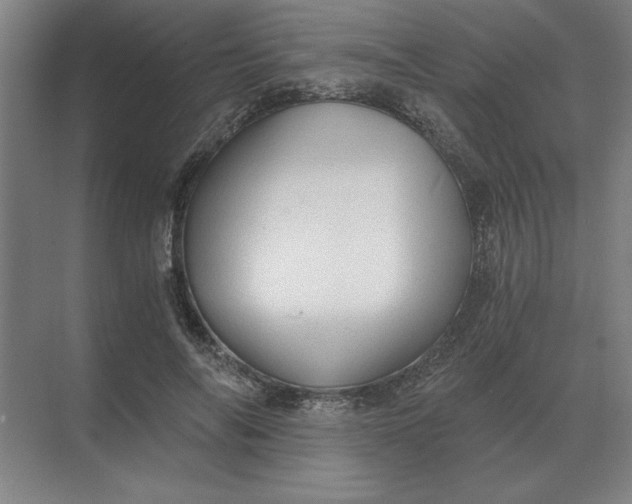 X0000068830694200605191859