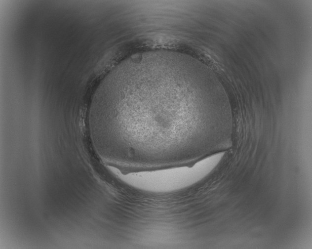 X0000068830695200605191859