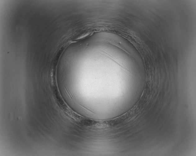 X0000068830696200605191859