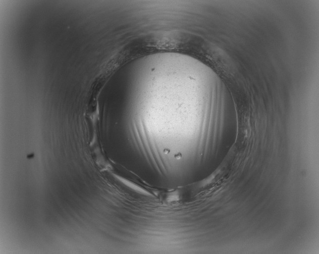 X0000068830697200605191859