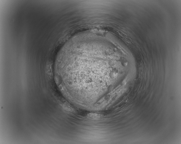 X0000068830699200605191859