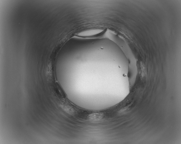 X0000068830700200605191859