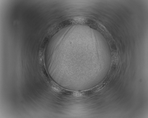 X0000068830701200605191859