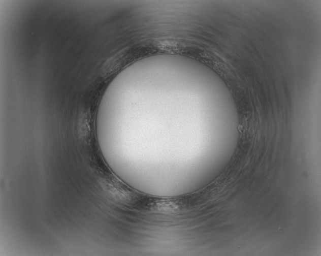 X0000068830702200605191859