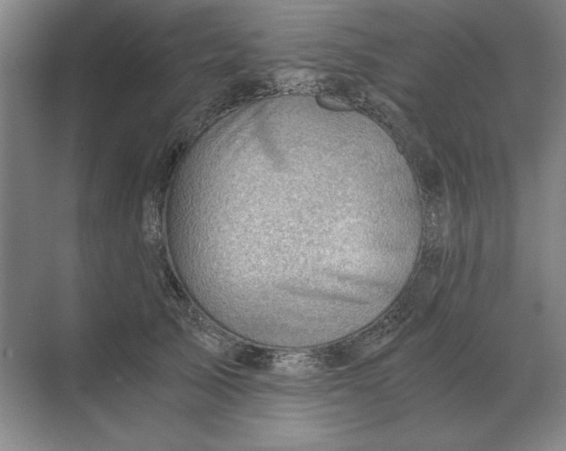 X0000068830705200605191859