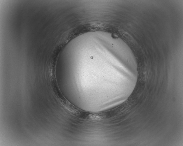 X0000068830706200605191859