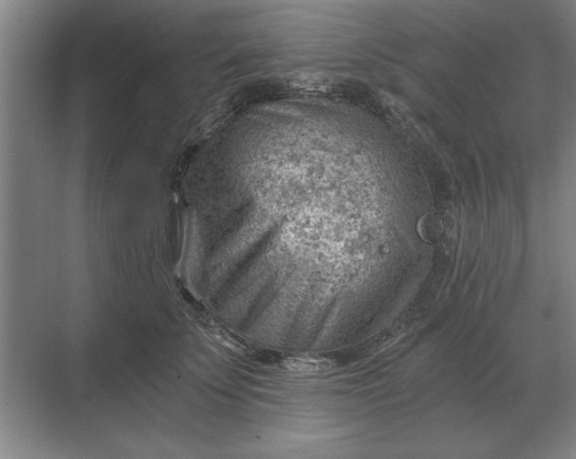 X0000068830707200605191859