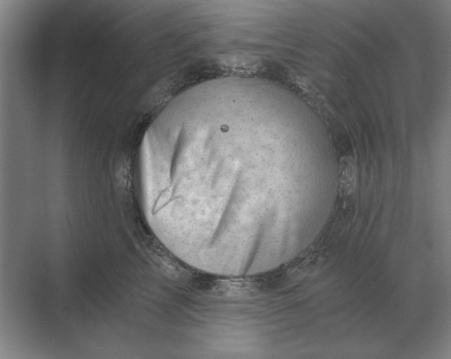 X0000068830713200605191859