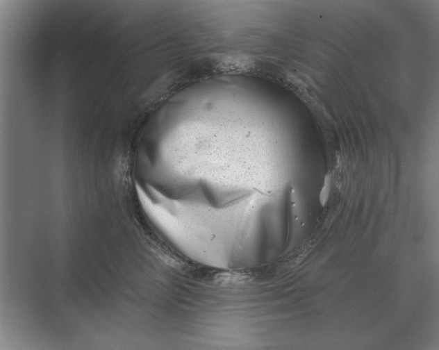 X0000068830714200605191859